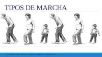 ¿Que es la  marcha? TIPOS DE MARCHA, Eubasia, Disbasias patológicas 