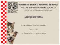 Purina: Historia y Crecimiento