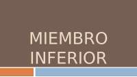 ANATOMÍA DEL MIEMBRO INFERIOR - Docsity