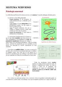 FANI Fisiología neuronal - Apuntes de Fisiología Animal - Docsity