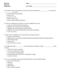 40 MCQs on Principles of Human Physiology - Examination 4 | BMS 300