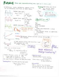Study Guide - Fatigue, Creep - Materials Science and Engineering | MSE 250