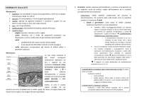 Manuela di dermatologia