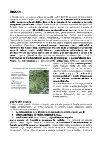 entomologia agraria : principali fitofagi di interesse agrario 