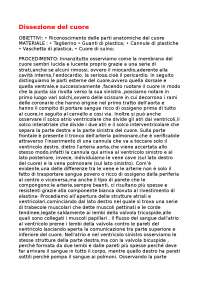 Masterclass Di Dissezione Anatomica: Formazione E Innovazione In Otorinolaringoiatria A Salerno - Foto 4