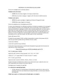 Sistemas con multiplexacion WDM