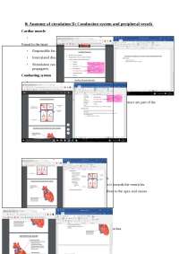 Cardiovascular lecture notes - Docsity