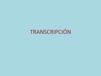 biologia molecular proceso de la transcripcion