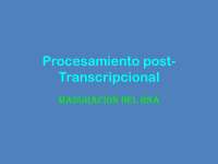 biologia molecular e ingenieria genetica
