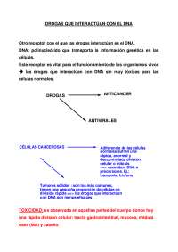 Drogas que interactúan con el DNA