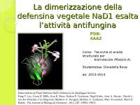 Cristallizzazione e struttura della defensina NaD1 nel fiore del tabacco