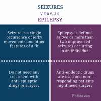 epilepsy and seizures