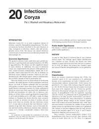 poultry diseases infectious coryza