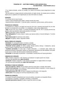 Sistema Cardiovascular, Sistema Vascular, Sistema Respiratório