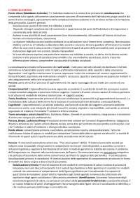 E come educazione. Autori e parole-chiave della sociologia dell'educazione. M.Colombo. 