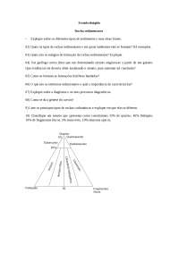 Estudo Dirigido de Rochas Sedimentares