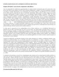 la exposicion del resumen de la extraccion de arn
