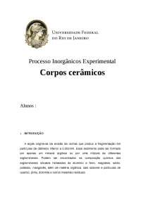 Relatório PIExp Corpos Cerâmicos