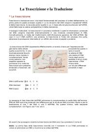 trascrizione e traduzione