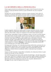 La scoperta della penicillina: storia e impatto sulla medicina