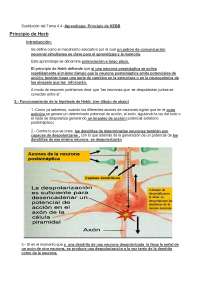 Potenciación a largo plazo Ejercicios de Psicología Fisiológica Docsity