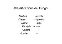 Classificazione e Caratteristiche dei Funghi: Un'Introduzione alla Micologia