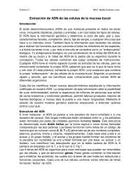 Práctica de extracción de ADN
