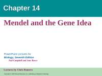 Medelians genetics Punnet Square
