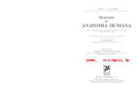 Anatomia Humana T2 Angiologia e Sistema Nervoso Central