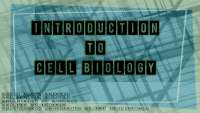 Biology Notes: Introduction