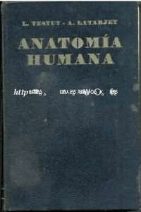 anatomia humana
