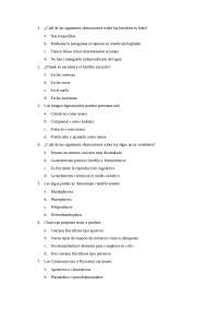 Preguntas tipo test criptogamia