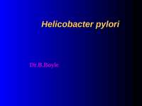 helicobacter pylori ppt