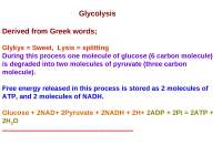 Glycolysis basically of veterinary biochemistry