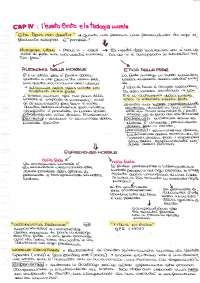 Riassunto Zuccaro Teologia Morale Fondamentale Docsity