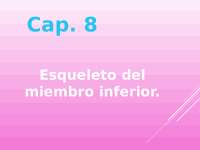 Es una presentacion en power point con descripcion sobre el esqueleto ...