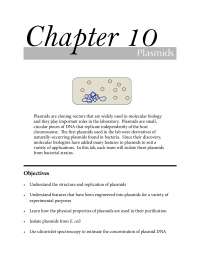 what is plasmids and explanaions and uses etc