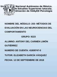 Métodos de estudio cerebral