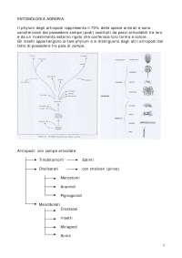 Entomologia Agraria generale e speciale