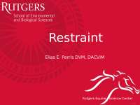 Lecture Slides on Restraint - Horse Management | 067 384