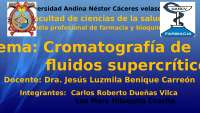 cromatologia de fluidos super criticos