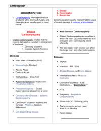 Cardiovascular Sytem
