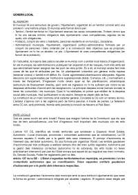 Govern Local, apunts grup de matins