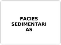 Facies sedimentarias