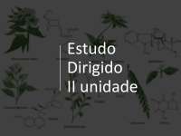 Estudo dirigido II: a unidade