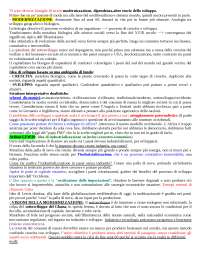 Sviluppo e Sottosviluppo: Un'analisi critica delle teorie e dei modelli