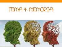 Tema 4: Memoria Neuropsicologia