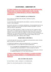 Resumen Abdomén IV baseado en lo Rouviere