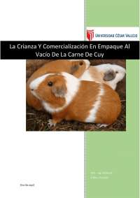 Crianza y comercialización de la carne de cuy