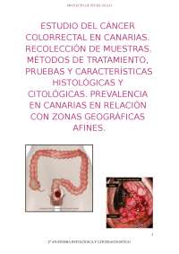 TFC. Trabajo de Fin de Ciclo de Anatomía Patológica y Citodiagnóstico